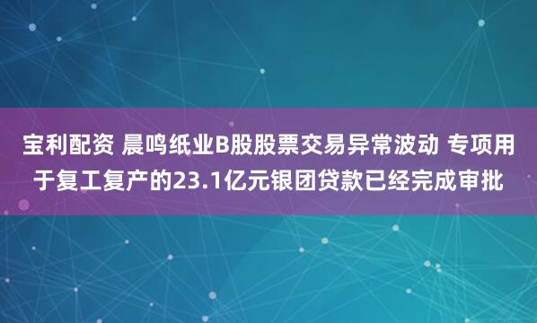 宝利配资 晨鸣纸业B股股票交易异常波动 专项用于复工复产的23.1亿元银团贷款已经完成审批
