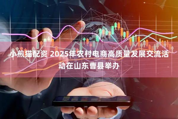 小煎猫配资 2025年农村电商高质量发展交流活动在山东曹县举办